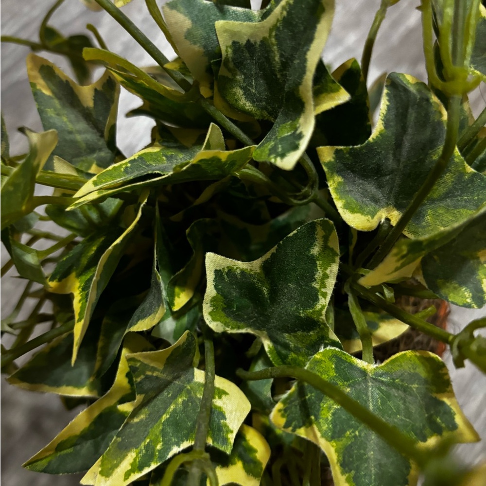 Fake plant